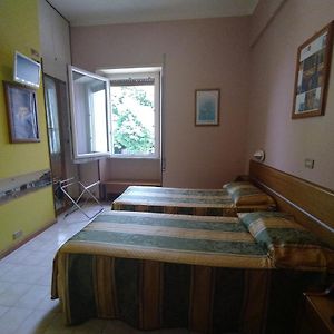 Economy Kamer met een King Size Bed